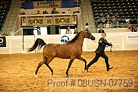 08usn-07759 proof