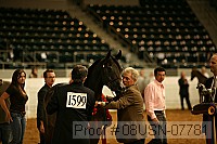 08usn-07781 proof