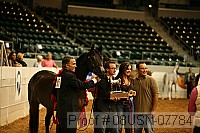 08usn-07784 proof