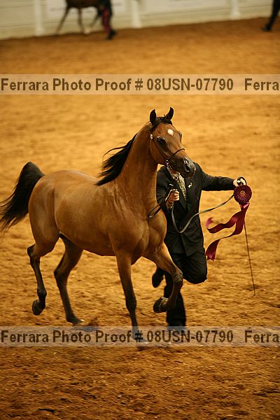 Proof 08usn-07790