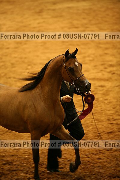 Proof 08usn-07791