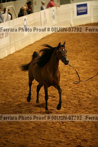 Proof 08usn-07792