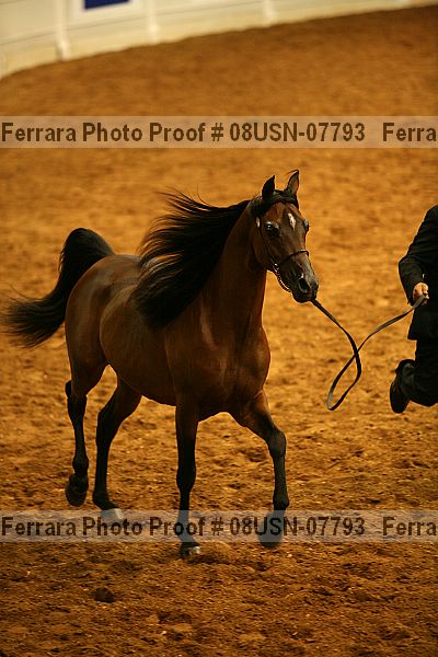 Proof 08usn-07793