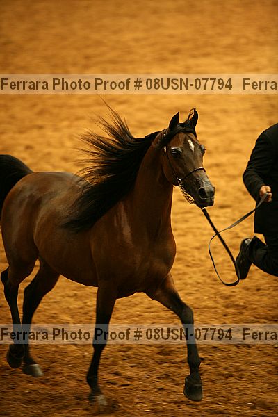 Proof 08usn-07794
