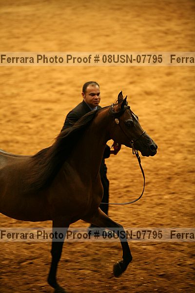 Proof 08usn-07795