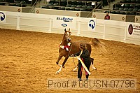 08usn-07796 proof