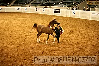 08usn-07797 proof