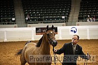 08usn-s07544 proof