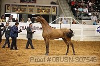 08usn-s07546 proof