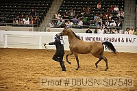 08usn-s07549 proof