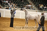 08usn-s07551 proof