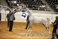 08usn-s07552 proof