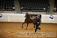 08usn-s07555 proof