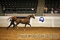 08usn-s07559 proof