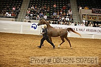 08usn-s07561 proof