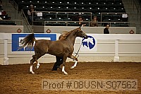 08usn-s07562 proof