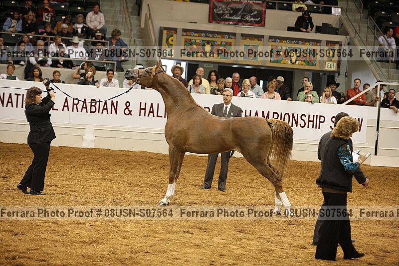 Proof 08usn-s07564