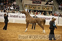 08usn-s07564 proof