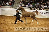 08usn-s07565 proof