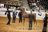 08usn-s07566 proof