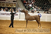 08usn-s07568 proof