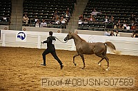 08usn-s07569 proof