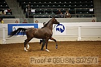 08usn-s07571 proof
