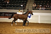 08usn-s07578 proof