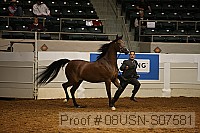 08usn-s07581 proof