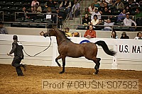 08usn-s07582 proof