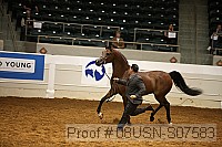 08usn-s07583 proof