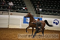 08usn-s07584 proof