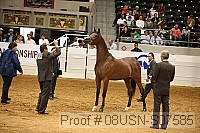 08usn-s07585 proof