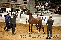 08usn-s07586 proof