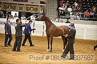 08usn-s07587 proof