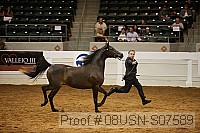 08usn-s07589 proof