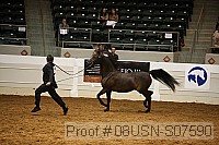 08usn-s07590 proof