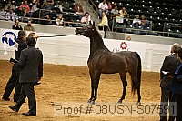 08usn-s07591 proof