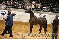 08usn-s07592 proof