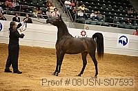 08usn-s07593 proof