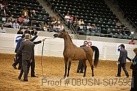 08usn-s07595 proof