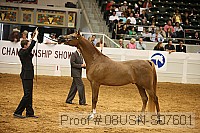 08usn-s07601 proof