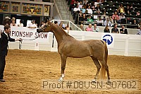 08usn-s07602 proof