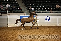 08usn-s07603 proof