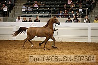 08usn-s07604 proof