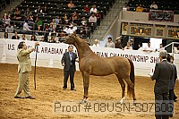 08usn-s07606 proof