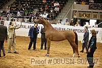 08usn-s07607 proof