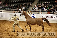 08usn-s07608 proof
