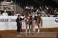 08usn-s07620 proof