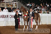08usn-s07621 proof